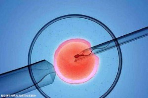 槿棠生殖中心环境